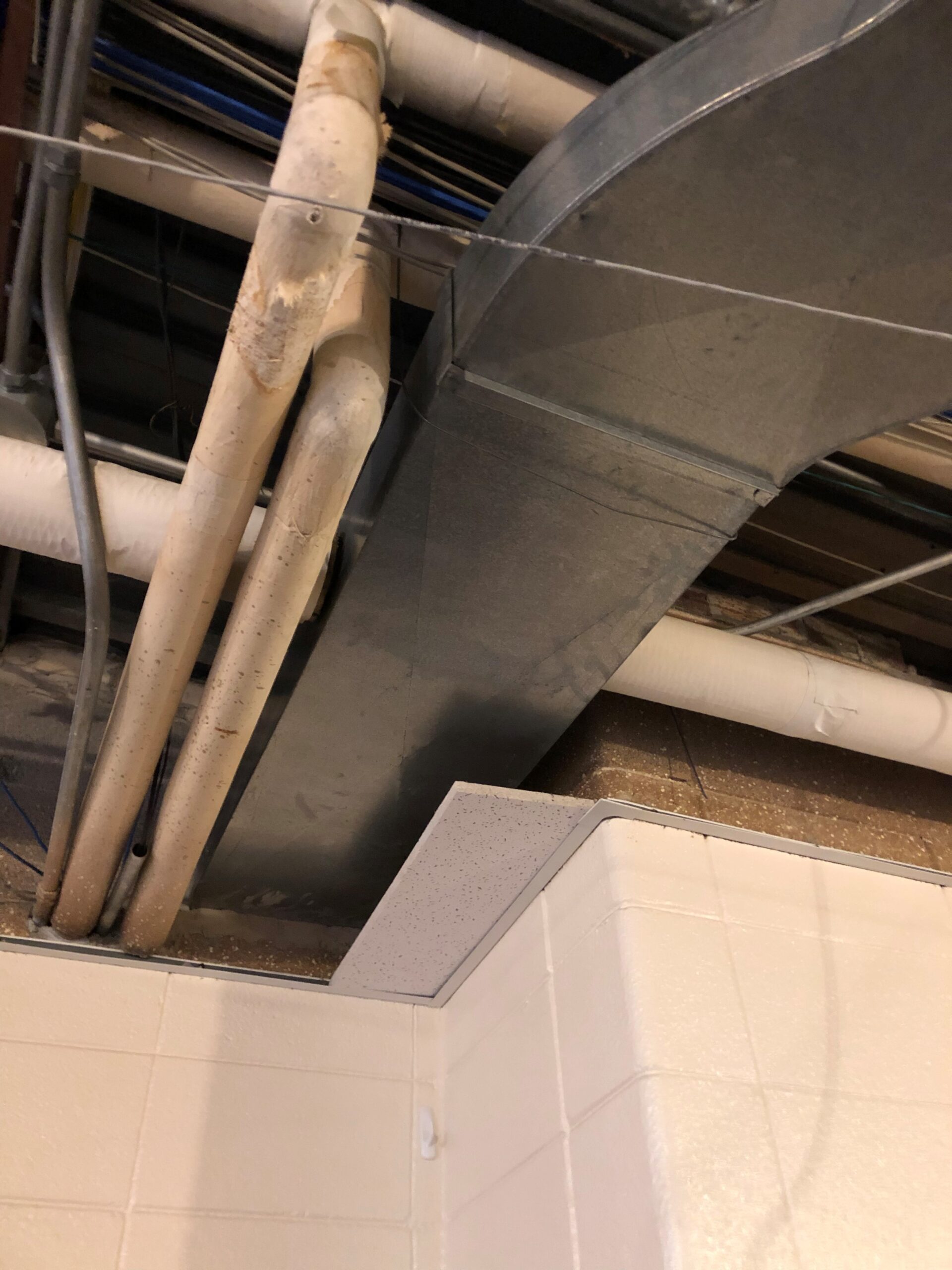 2021-08-31_11-06-57_352