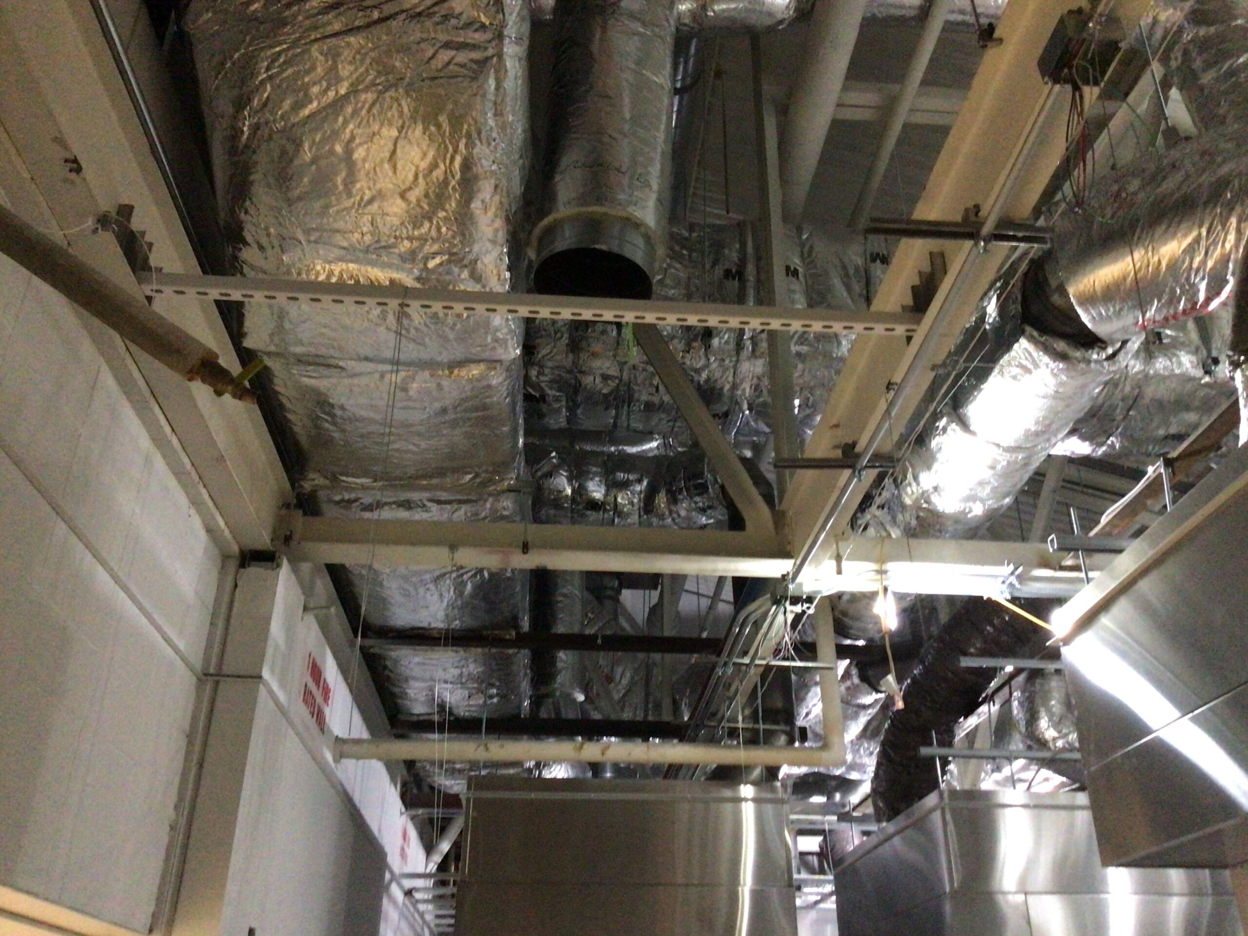 Image 2022-11-10 07-15-20