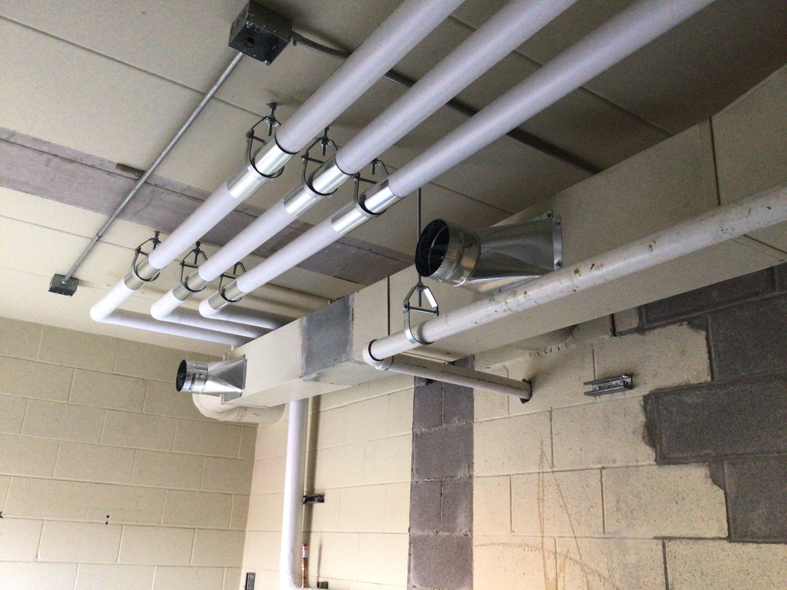 Image 2023-06-20 07-46-40